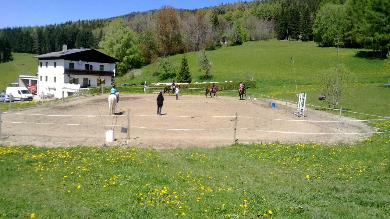Apartments Im Almhaus Bachler Gundisch Екстериор снимка